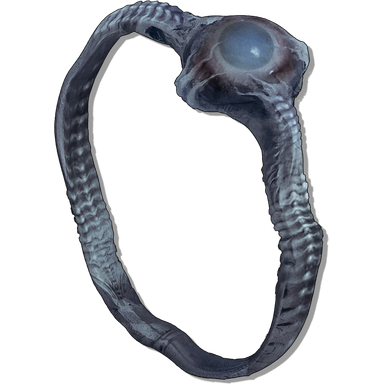 Mother's Watch ring icon from Lords of the Fallen