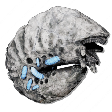 Umbral Burrower throwable icon from Lords of the Fallen